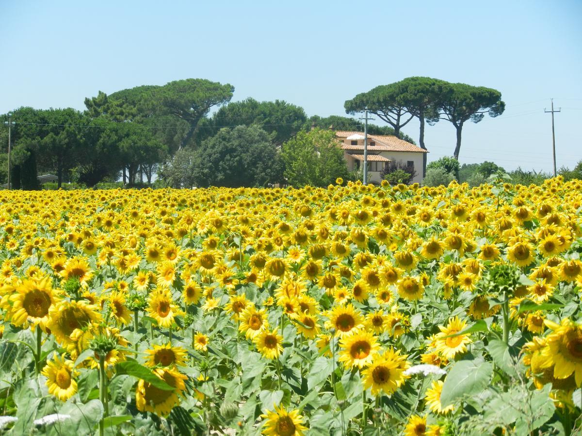 Boschetto Del Lago Castiglione del Lago Exterior foto
